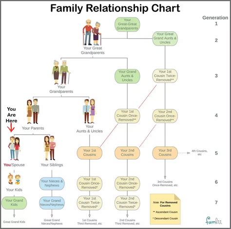 son mom aunt|Family Relationship Terms .